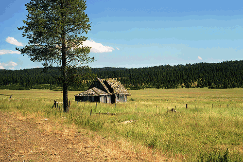 Cabin in a meadow with moutians in the background