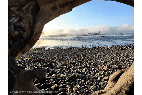 This view of the Cove at Seaside, Oregon is seen thru driftwood on October 28, 2017.